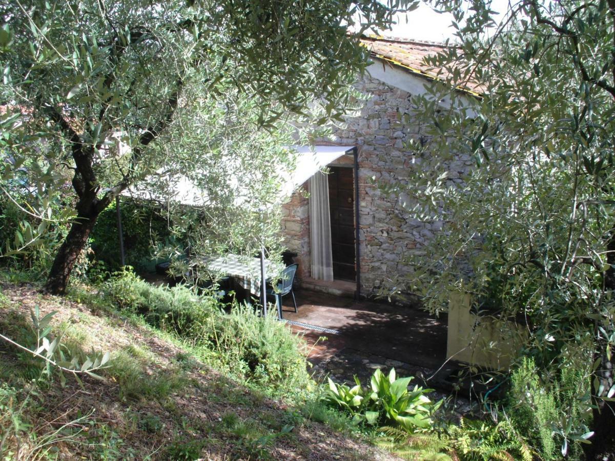 Il Fienile Villa Ripafratta Екстериор снимка
